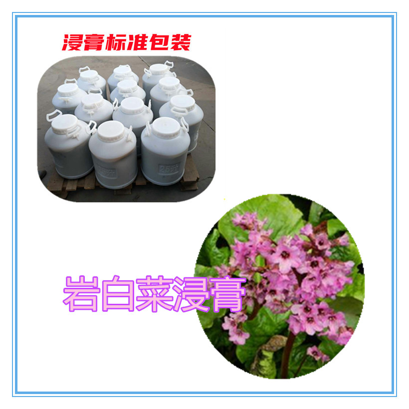 岩白菜提取物 10:1 水提 岩白菜粉 岩白菜浸膏 1.15比重