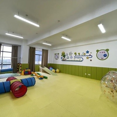特殊教育设备生产厂家  智尧提供 各类特殊教育设备清单/价格/方案等