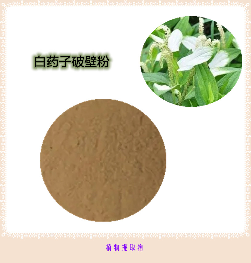 白药子提取物 10:1 水提 白药子粉 白药子浓缩粉