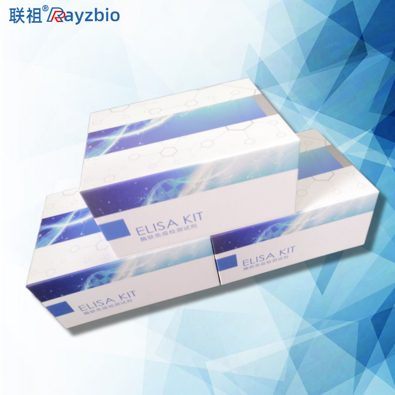 SETD7组蛋白赖氨酸N-甲基转移酶SETD7ELISA试剂盒