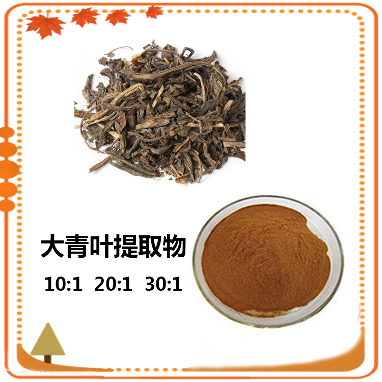 大青叶提取物 10:1 水提 大青叶粉 98% 大青叶浸膏