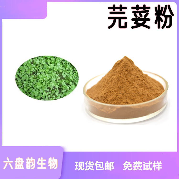 芫荽粉 粉末细腻 流动性好 植物原料 质量稳定 六盘韵