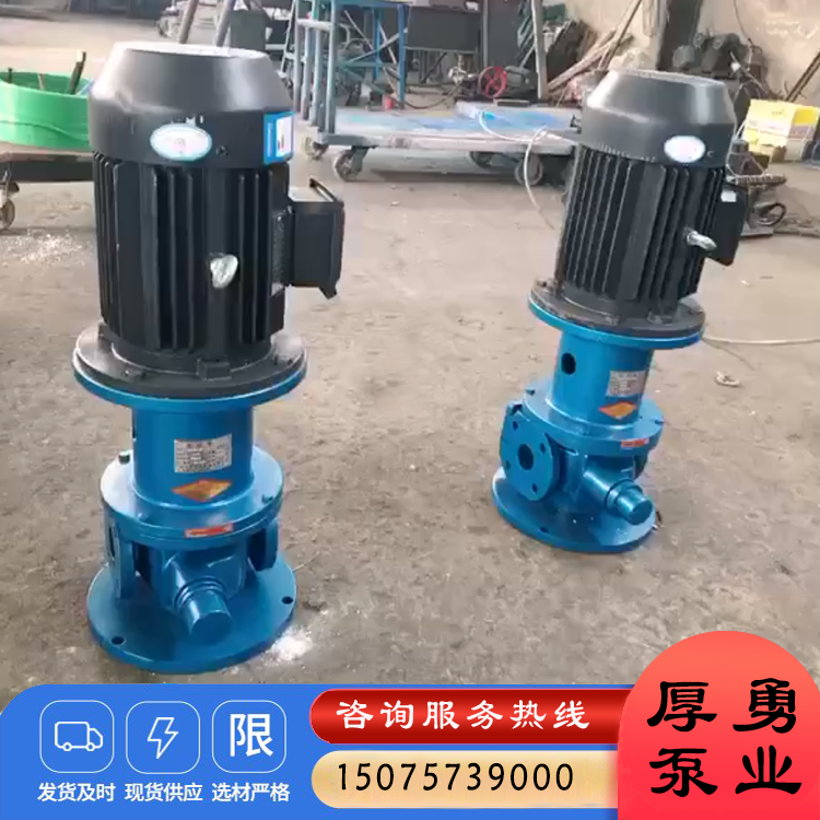 立式齿轮油泵 重油泵  齿轮式输油泵 生产加工