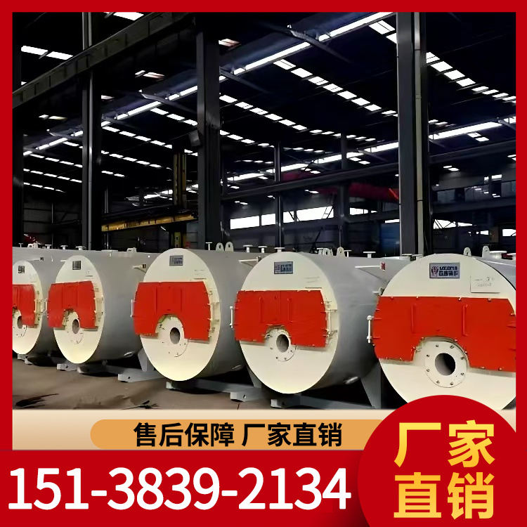 蒸汽锅炉 燃气锅炉 经久耐用 专业保障 厂家供应