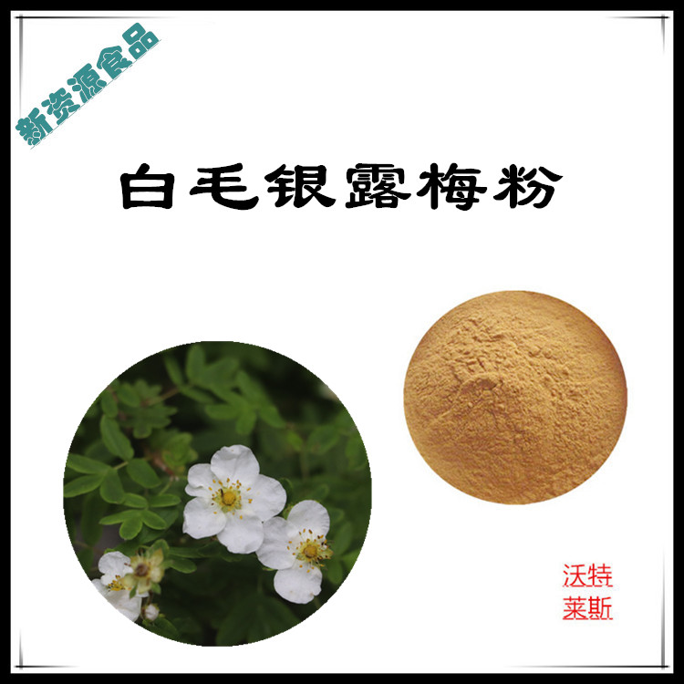 白毛银露梅提取物 10:1 水提 白毛银露梅粉 白毛银露梅浸膏