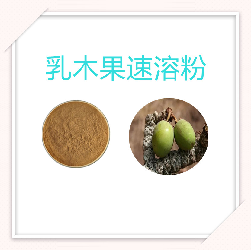 乳木果提取物  粉末流动性好   质量稳定   固体饮料  三遍水提  无结块