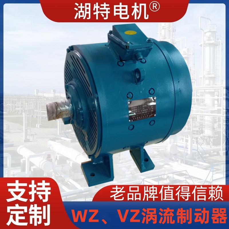 WZ315涡流制动器生产厂家焦化车间用