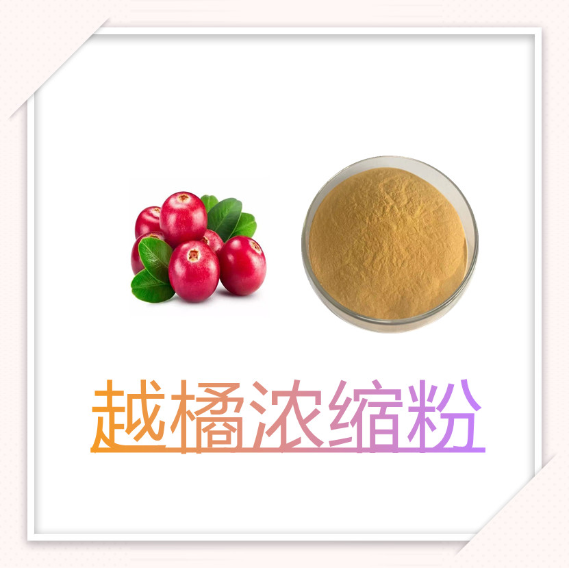 越橘浓缩粉  比例产品  固体饮料   全水溶   无结块  食品级  植物原料