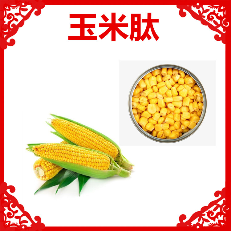 玉米肽 小分子蛋白 速溶粉末 斯诺特生物拿样