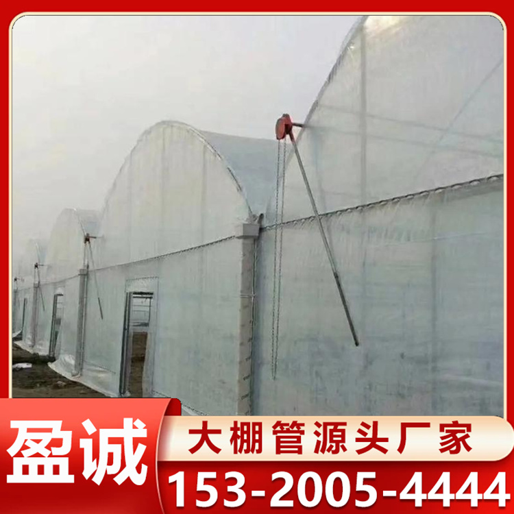 温室大棚 薄膜连栋大棚  花卉棚 加工蔬菜种植棚安装 大棚材料定制加工