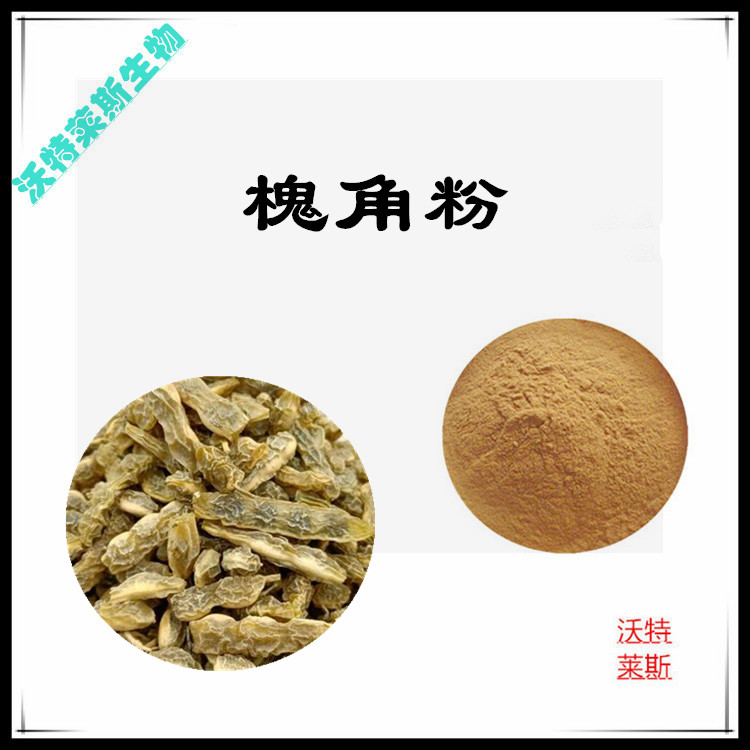 槐角提取物 10:1 水提 槐角粉 槐角浓缩粉 槐角浸膏