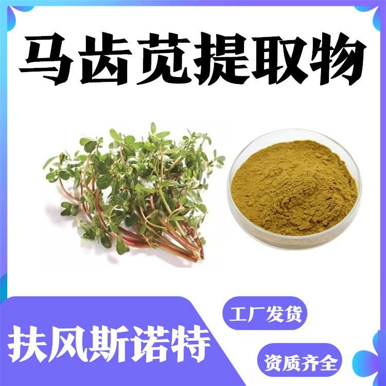 马齿苋多糖 马齿苋粉 水溶性 有外检 提供小样