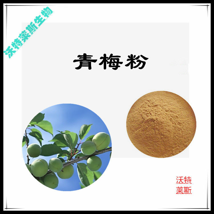 青梅粉 98%  青梅提取物 10:1 水提 青梅浓缩汁
