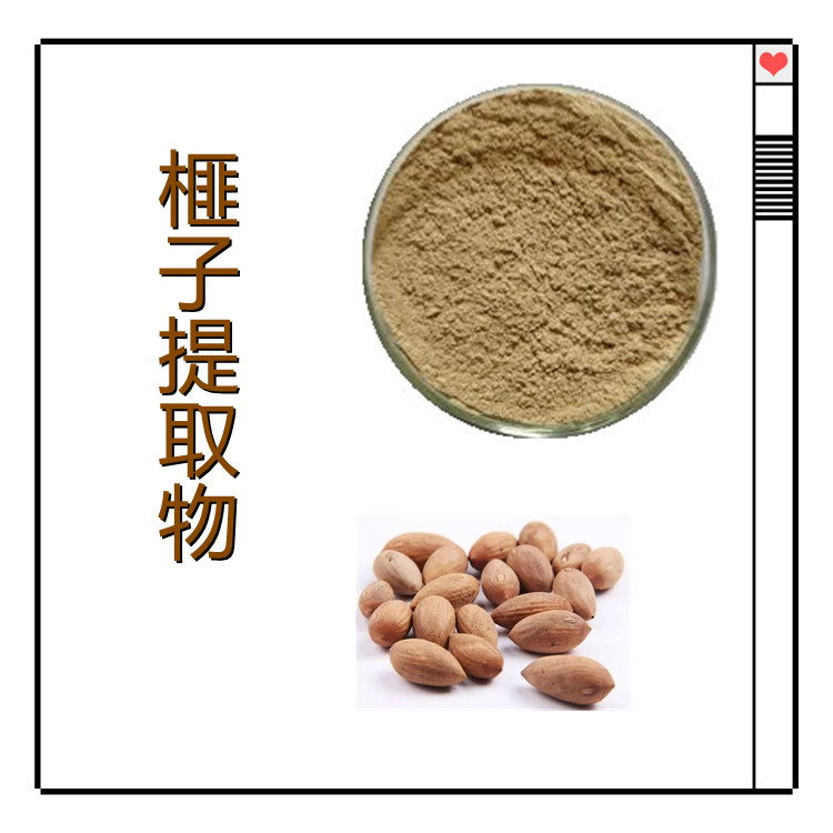 榧子提取物  粉末细腻   全水溶   比例产品   喷雾干燥  无结块   无杂质