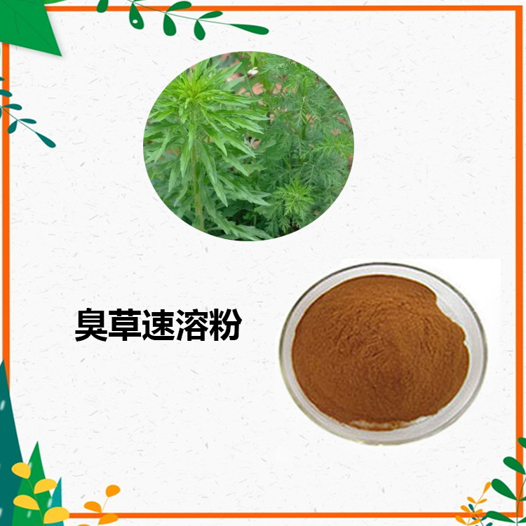 臭草提取物 10:1 水提 多规格比例 臭草浓缩粉 5倍