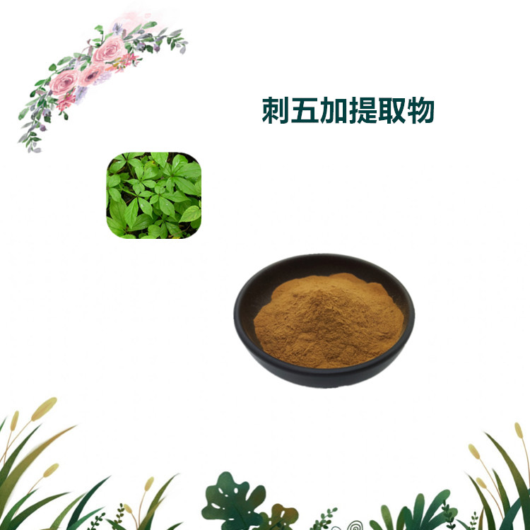 沃特莱斯生物 刺五加提取物 浸膏粉 水溶性粉末 1公斤起订