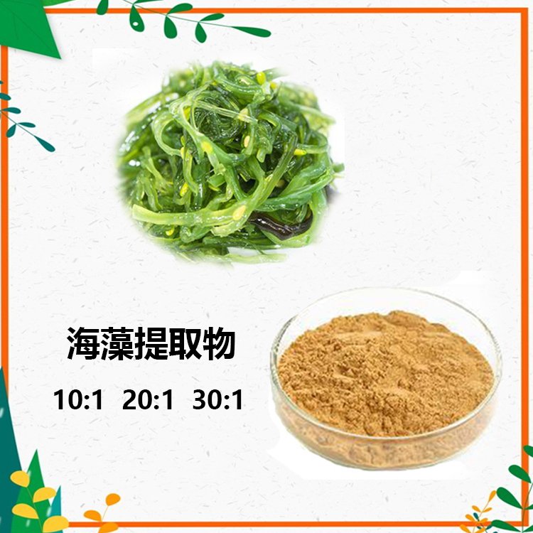 海藻多糖 30% 海藻提取物 10:1 水提 海藻速溶粉