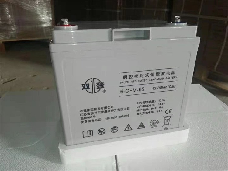 双登蓄电池6-GFM-200 阀控密封式铅酸电池