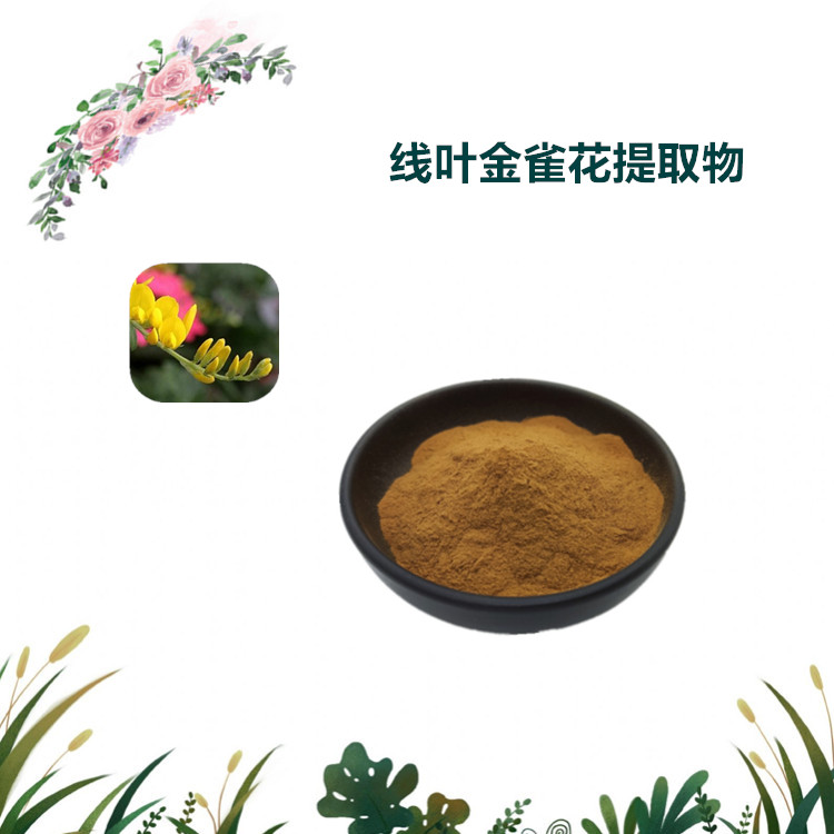 沃特莱斯生物 线叶金雀花提取物 水溶粉 1公斤起订 可寄样