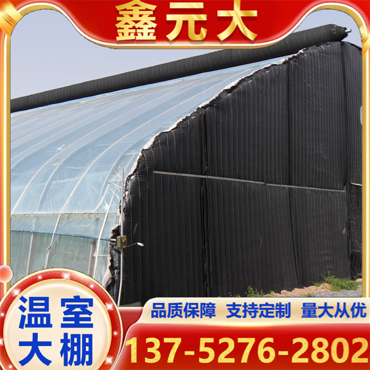 日光温室 蔬菜种植大棚 农业搭建用 成本低 用途范围广
