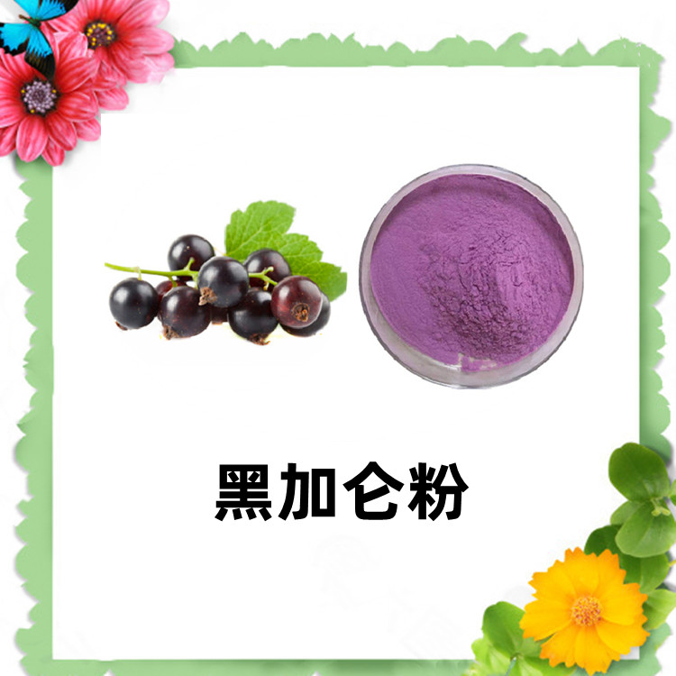 黑加仑粉 水溶性好 无杂质 质量稳定 营养丰富六盘韵生物