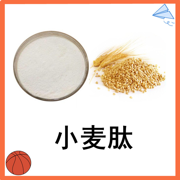 小麦肽  低聚肽 小分子肽  过筛200目 速溶粉末  全水溶 无沉淀