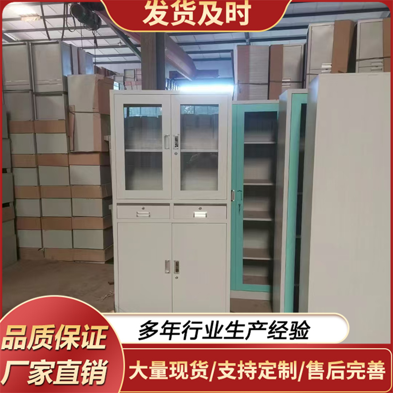 器械柜  办公家具钢制文件柜 资料柜子 铁皮柜