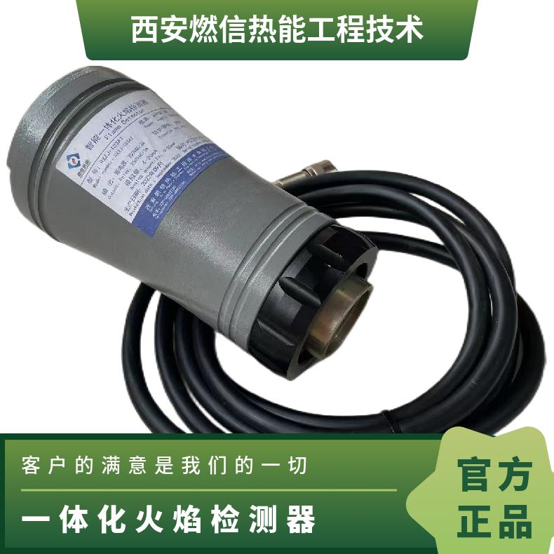 燃信热能定制焚烧炉火焰监测器RXZJ-102 包邮