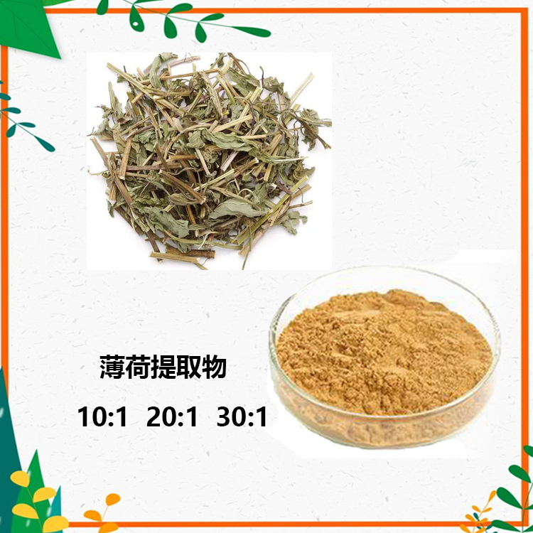 薄荷提取物 10:1 水提 薄荷粉 薄荷碱 薄荷脑 冰片