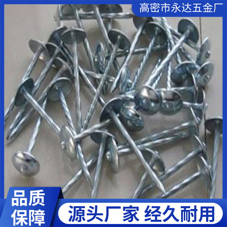 瓦楞钉 镀锌瓦楞钉 货源稳定