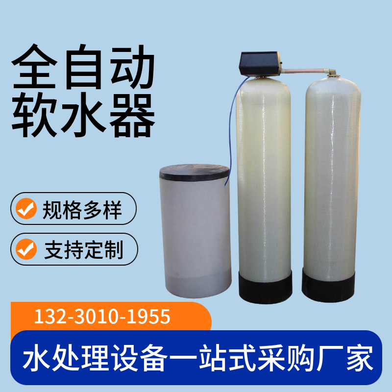 全自动钠离子交换器 钠离子软水器 小型单头软化水设备莱芜