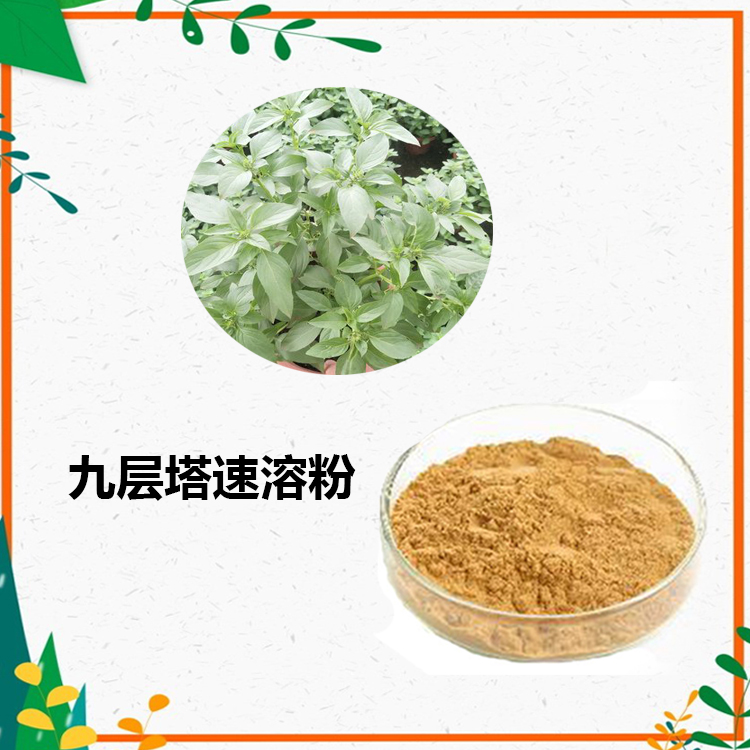 九层塔提取物 10:1 水提 九层塔浸膏 九层塔浓缩粉