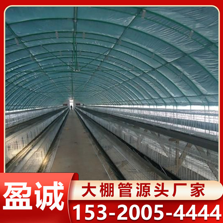 包塑椭圆管养殖棚30*70 30*80 各种棚型按客户需要设计安装