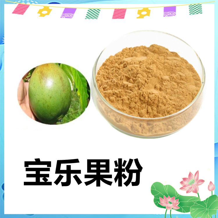 宝乐果粉  植物卒取工艺 粉末细腻 无杂质 水溶性好 过筛100目