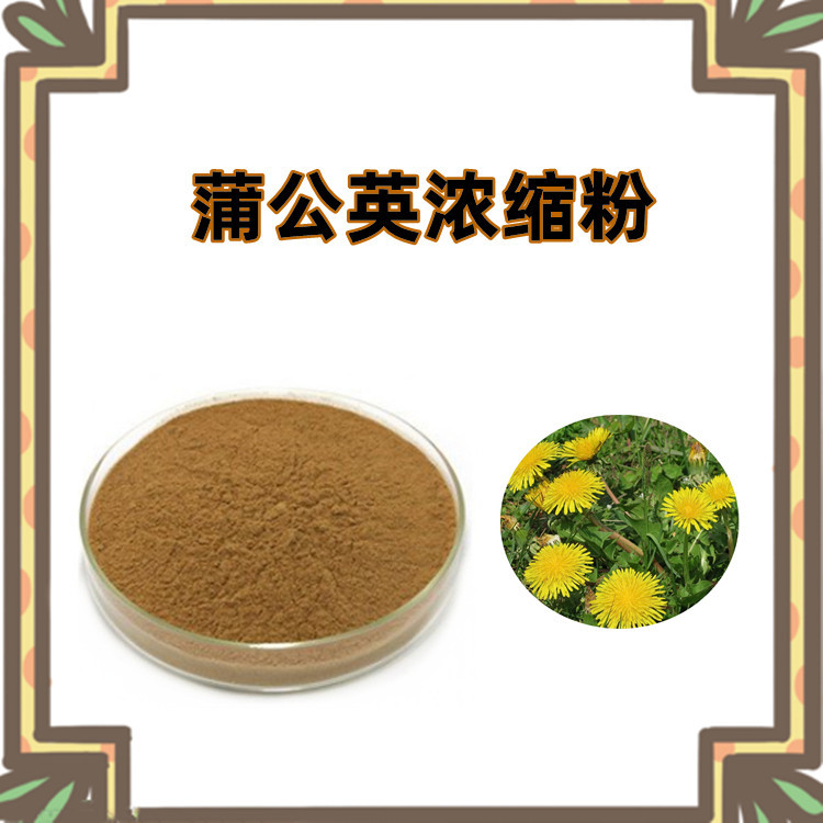 蒲公英提取物 双层塑料袋包装 易保存 粉质精细 无杂质 易溶解