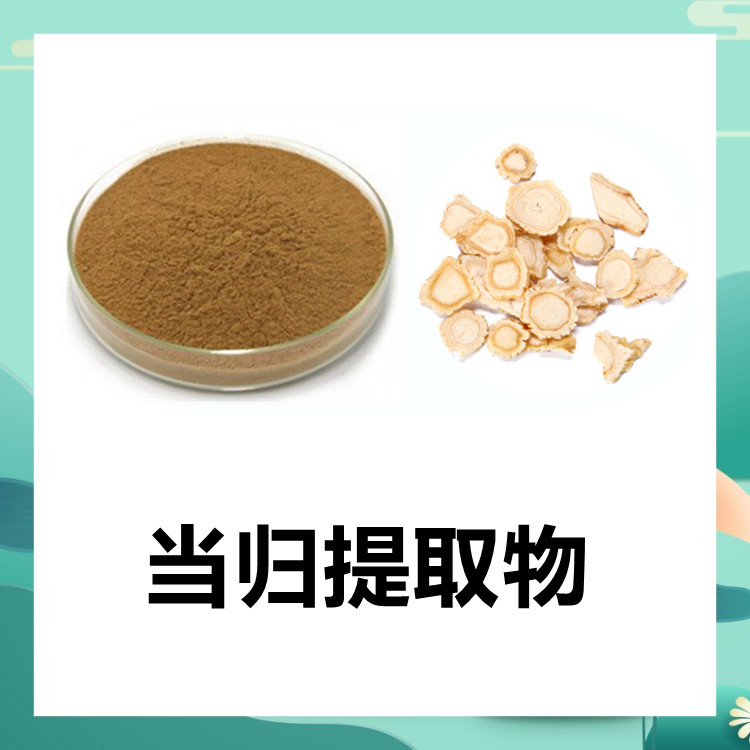 当归提取物  厂家供应 水溶效果好 可做固体饮料 纸板桶包装