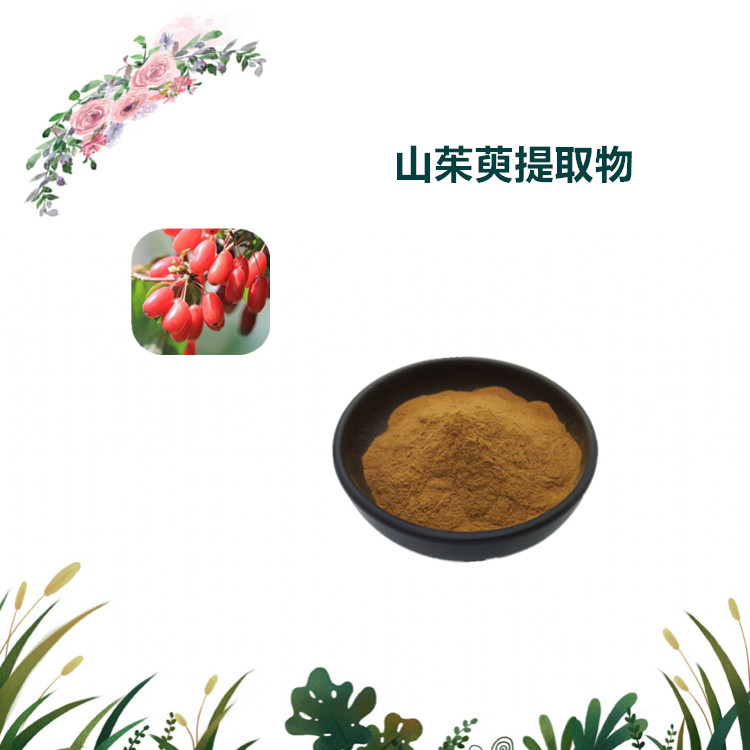 沃特莱斯生物 山茱萸提取物 山茱萸粉 多规格订制 可寄样