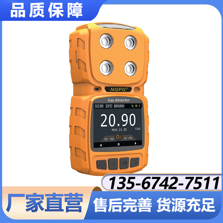 NGP8-M4-CO便携式四合一一氧化碳检测仪 源头供货