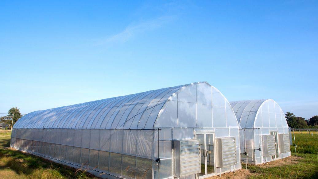 大棚种植实力厂家01