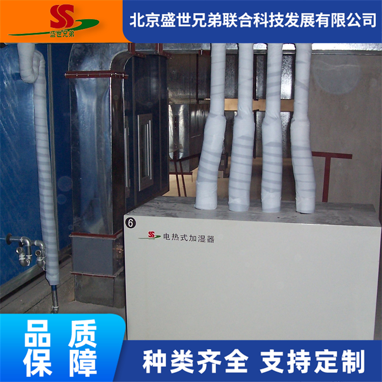 电热加湿器 智能控制蒸汽电热加湿设备 等温加湿 盛世兄弟