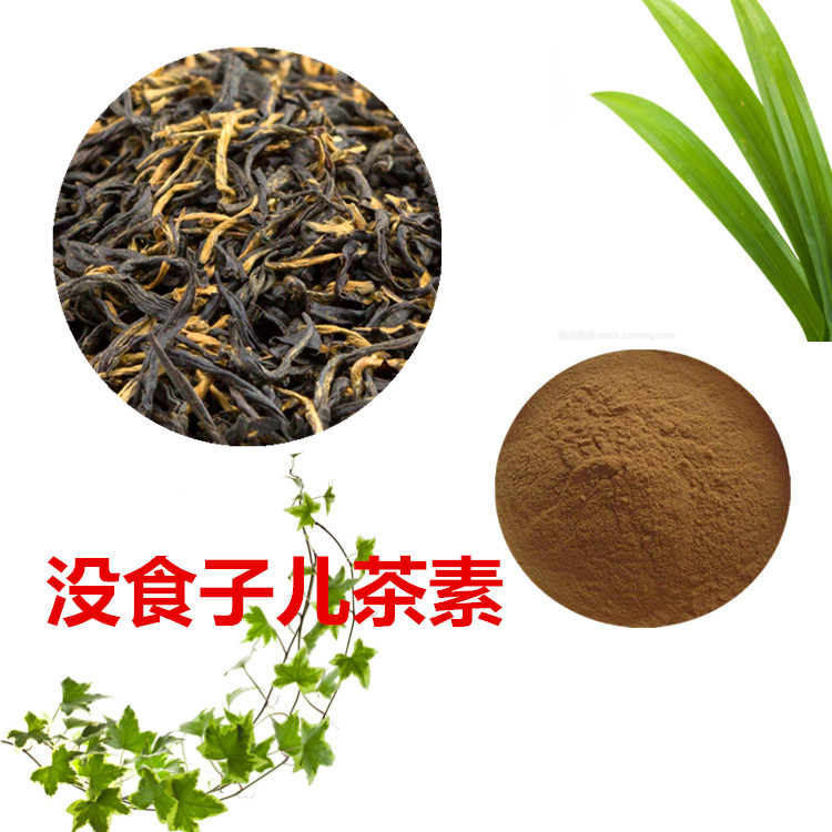 没食子提取物 10:1 水提 没食子粉 没食子浸膏 1.13