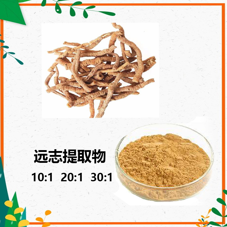 远志提取物 10:1 水提 远志浸膏 远志浓缩粉 5倍浓缩