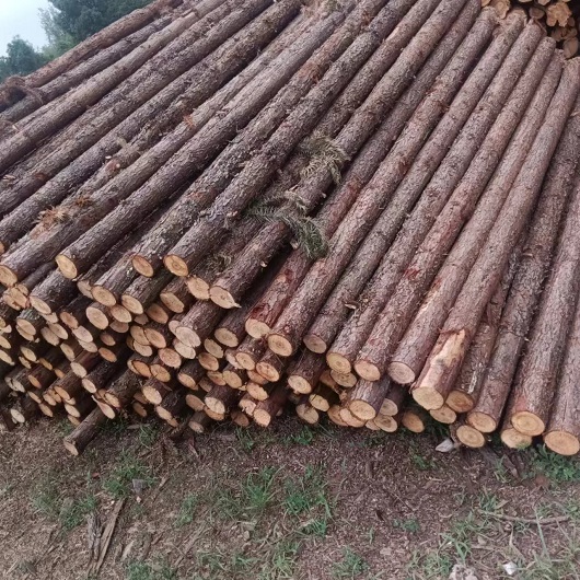 椽子 自有林场 厂家直发 尺寸齐全