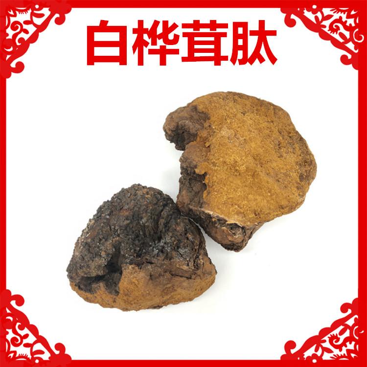 桦褐孔菌多肽 白桦茸肽粉 小分子低聚肽 喜来芝肽粉