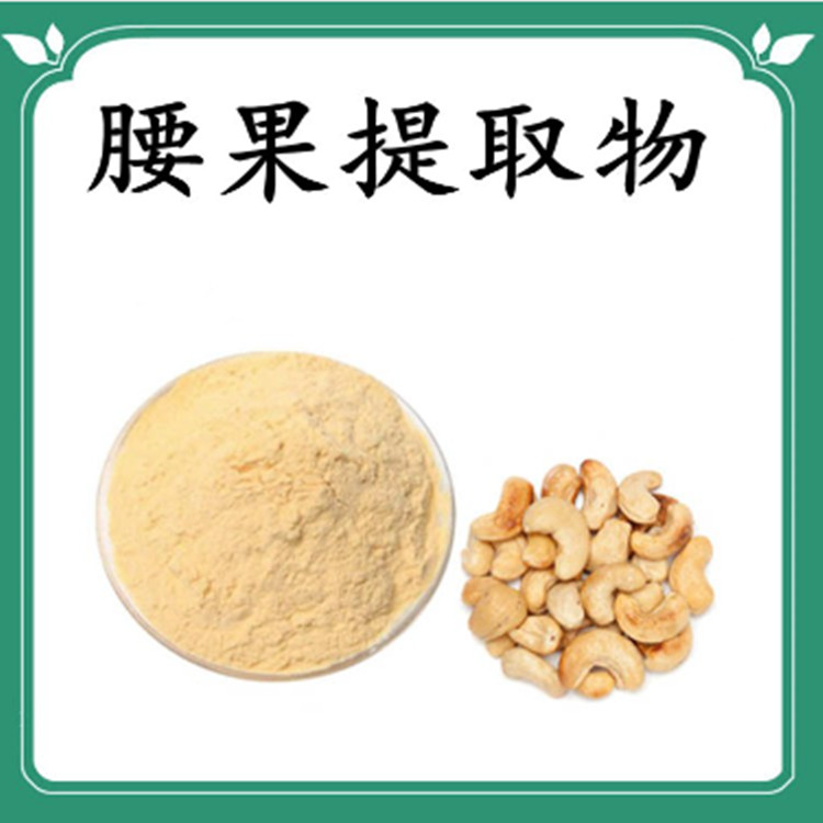 腰果提取物 10:1 水提 多规格 腰果膳食纤维 腰果水溶粉