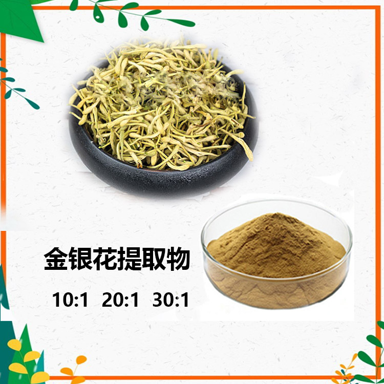 金银花提取物 10:1 水提 金银花绿原酸 金银花粉