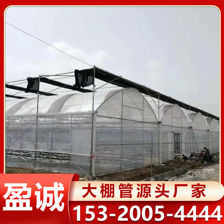 连栋大棚 水果种植温室 支持定制 抗风耐老化 大棚骨架 可定制