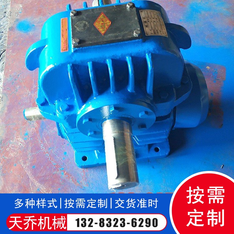 二次包络环面蜗杆减速机 涡轮蜗杆减速机 非标定制
