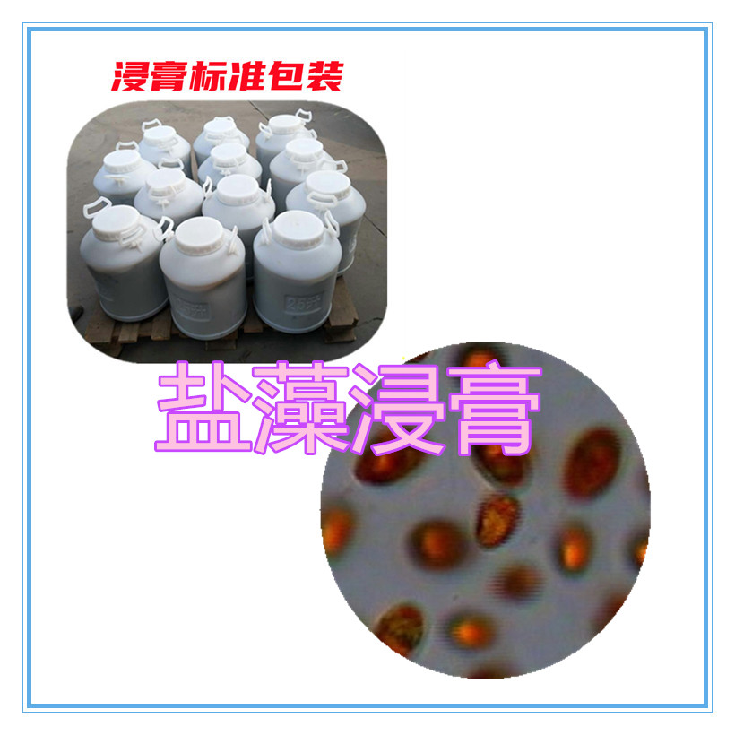 盐藻提取物 10:1 水提 盐藻粉 盐藻多糖 30% 50%