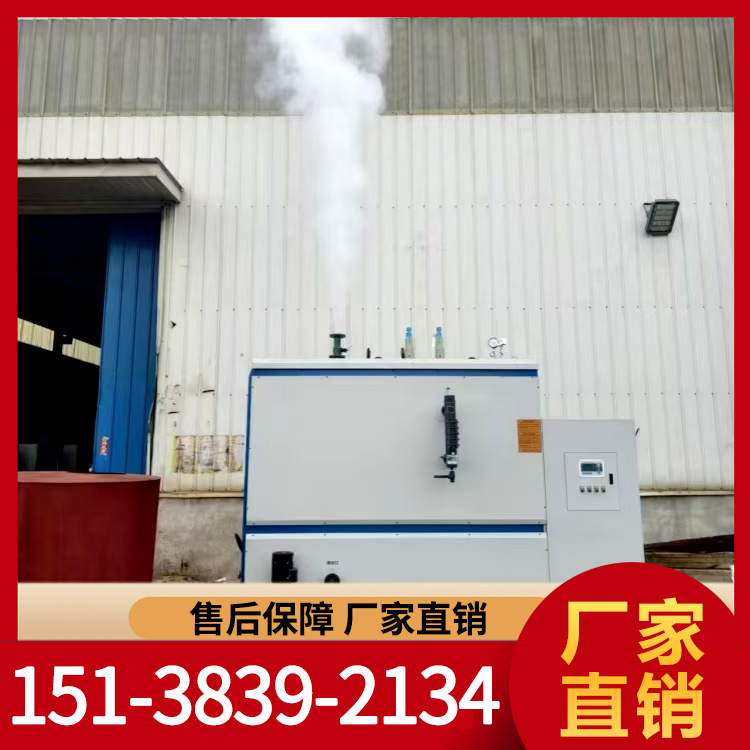 燃气蒸汽发生器 燃油蒸汽发生器 经久耐用 专业保障 厂家供应